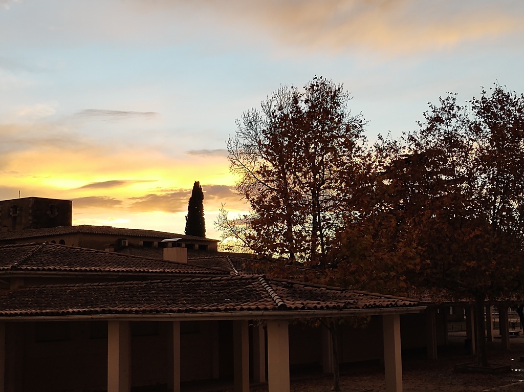 No s'ha trobat l'arxiu